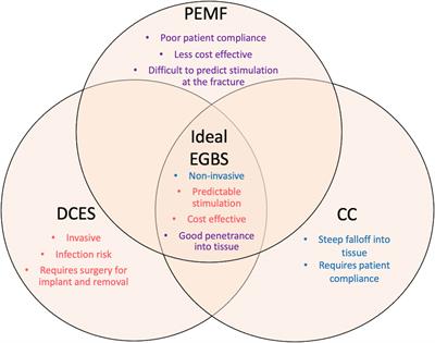 Electrical Stimulation of Acute Fractures: A Narrative Review of Stimulation Protocols and Device Specifications